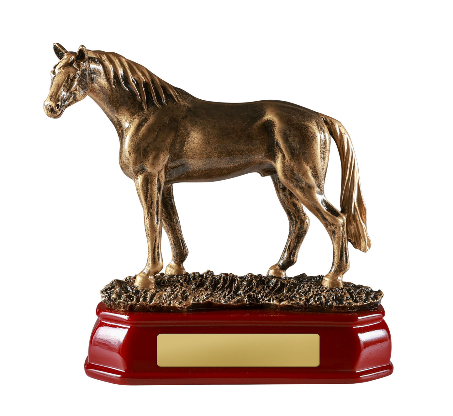 1510B Horse Standing