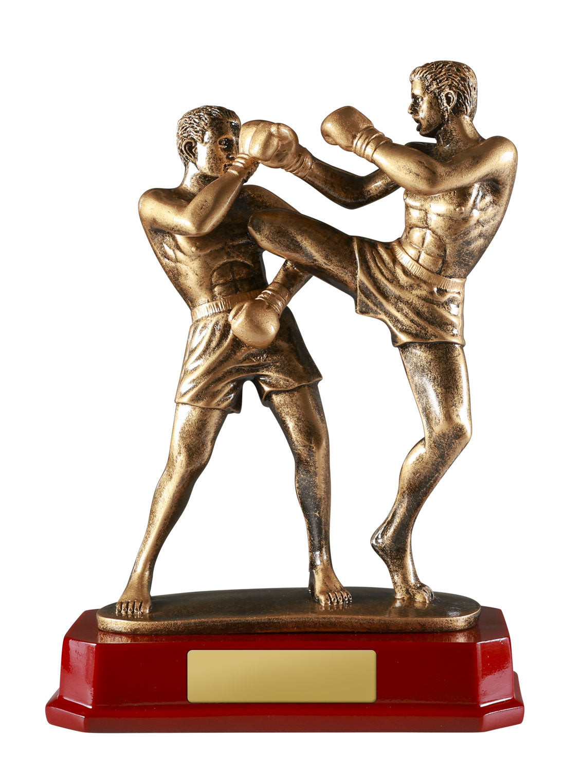 1518AGG Double Kick Boxing 235mm