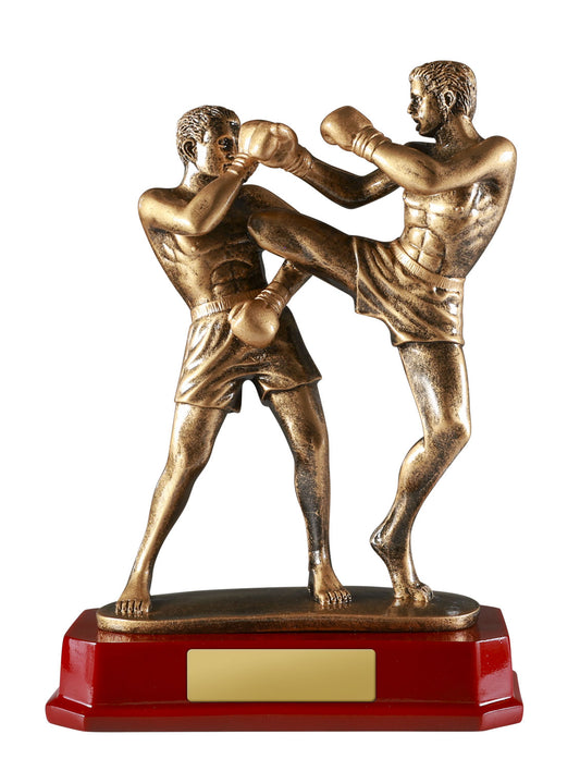 1518AGG Double Kick Boxing 235mm
