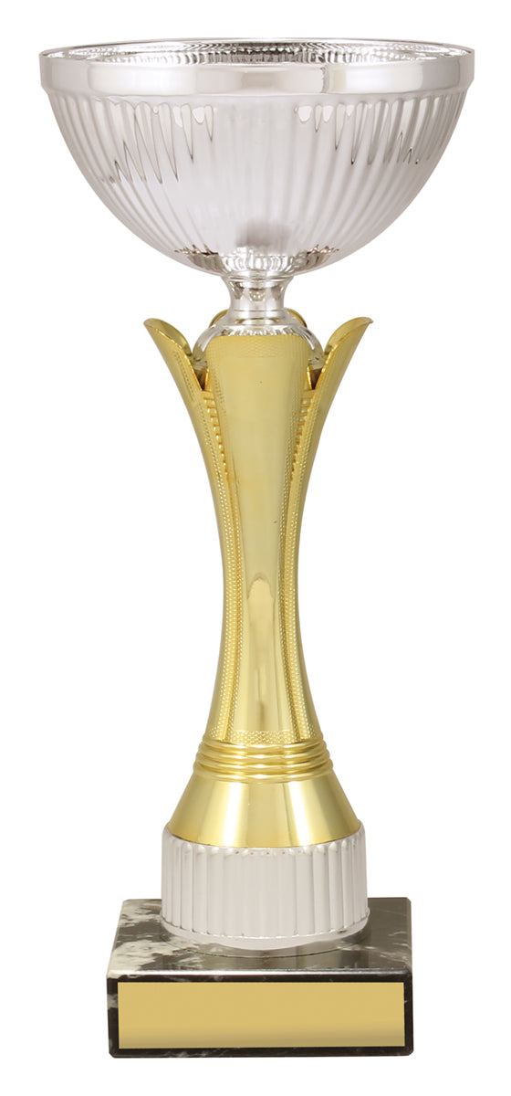 CUP167 Equity - Gold & Silver