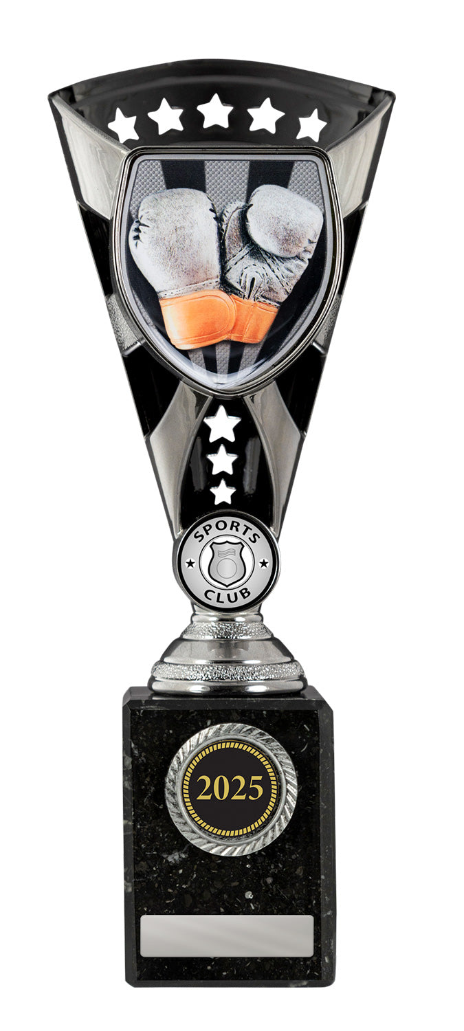 S24-11828-hero Cobra Cup-Boxing