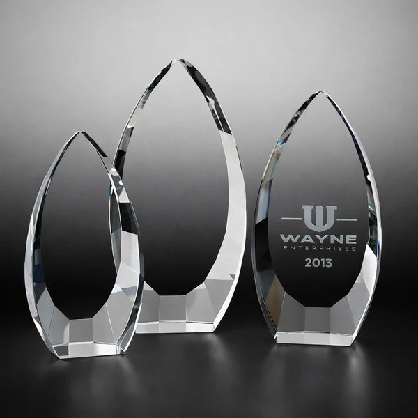 OCQ-VA Vincente Award