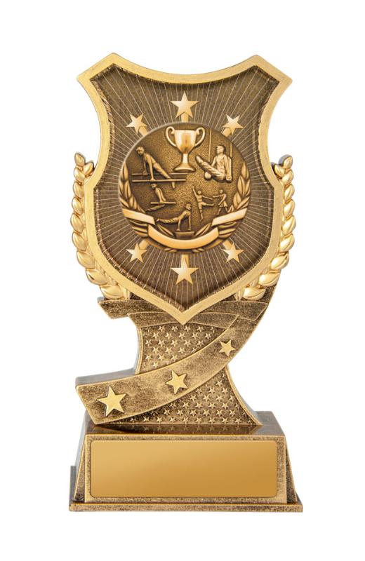 20A-SS20GS Shield Stand-Gym 15cm