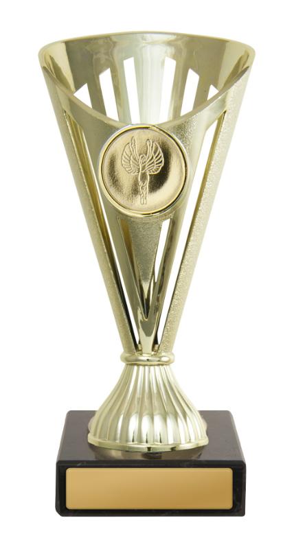 243G-1 Fan Budget Cup 17cm