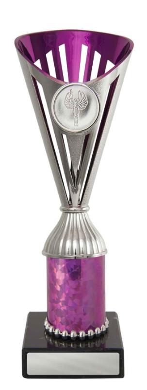 243SPK-3 Fan Budget Cup 22cm