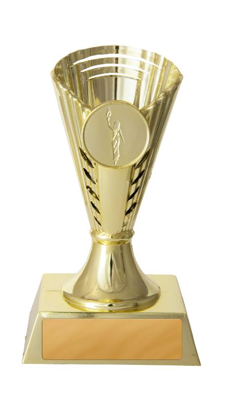 248G Gold Cup 12.5cm