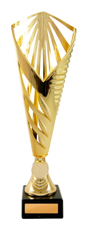251G-2 Aerius Cup 31.2cm