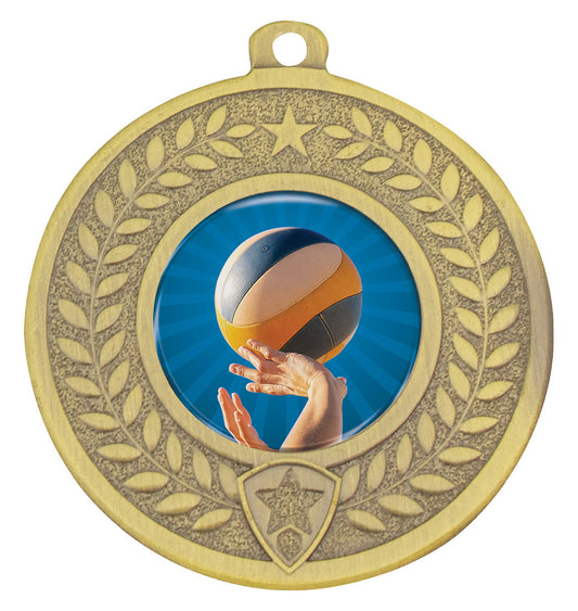 DMC271 Distinction - Volleyball