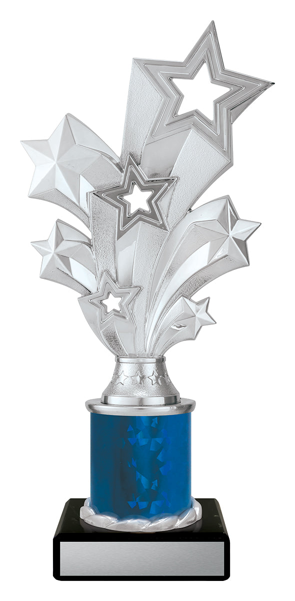 D5201 Silver Starburst