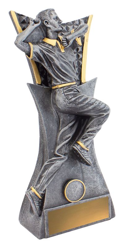 29111D Vanguard Bowling 290mm