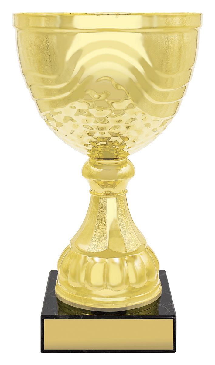 CUP162 Community Cup