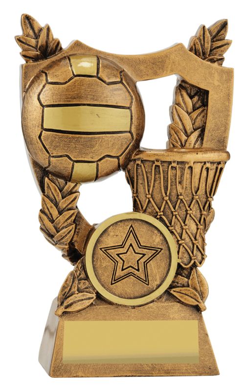 30437A Netball Alpha Shield 12cm