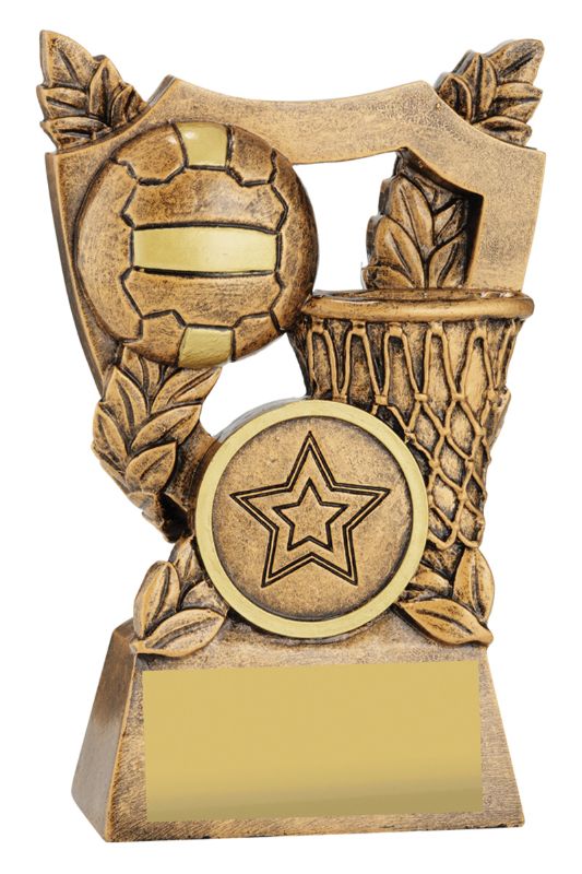 30437AA Netball Alpha Shield 10.5cm