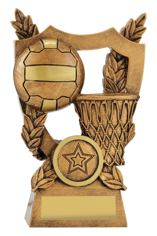 30437B Netball Alpha Shield 14cm