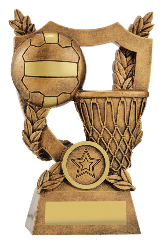 30437C Netball Alpha Shield 15.5cm