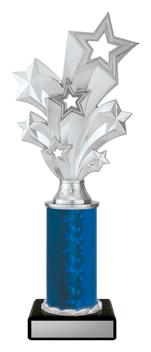 D5201 Silver Starburst