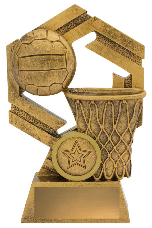 31637C Netball Redux 15cm