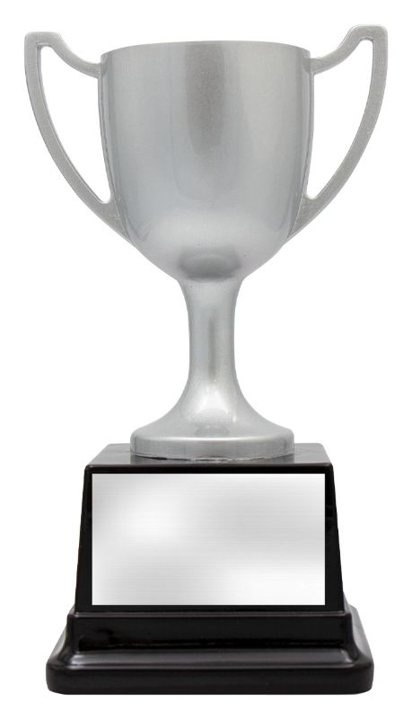 32702A Goodwood Cup 17cm