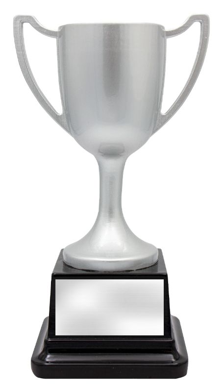 32702B Goodwood Cup 20cm