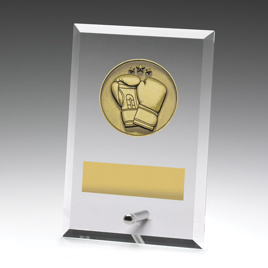 DY132 Glass Plaques - Boxing