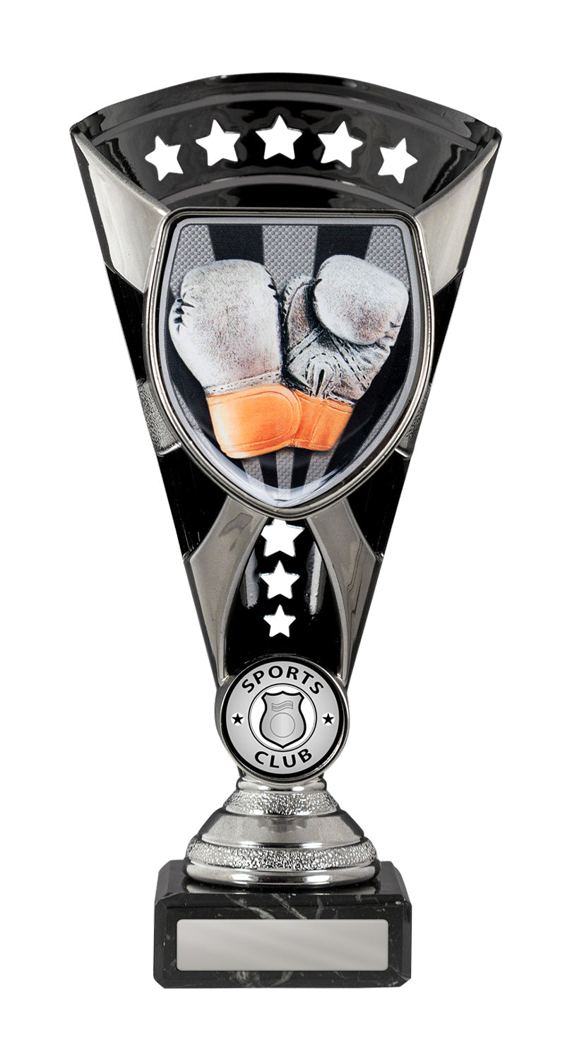 S24-11828-hero Cobra Cup-Boxing