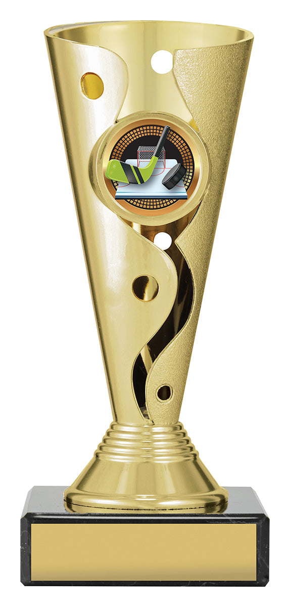 CRV50 Carnival Cup - Ice Hockey