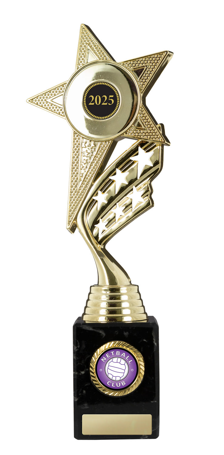 N24-0304-hero Star Figurine on Base