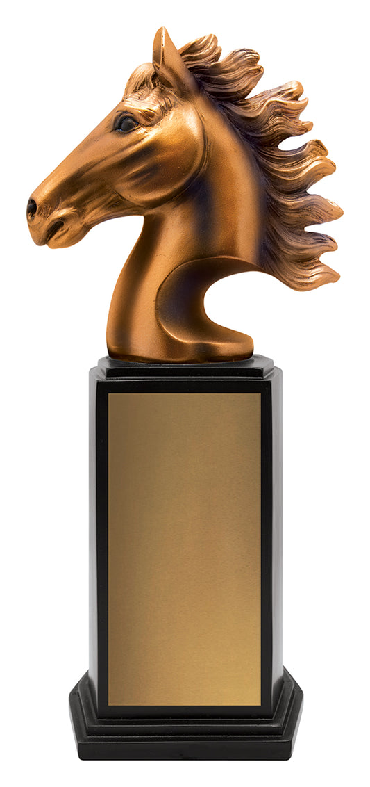 A3500 Horse Zenith Award