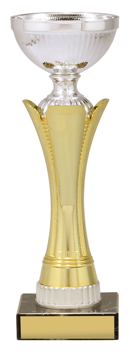 CUP167 Equity - Gold & Silver