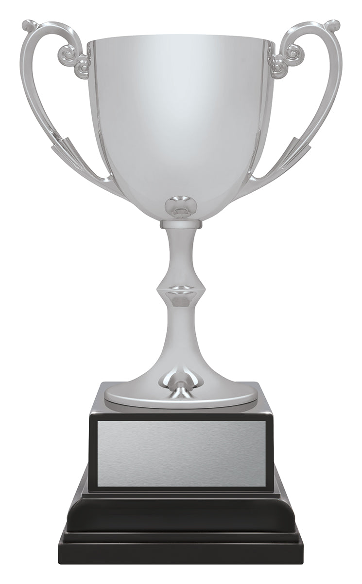 CXP-2 Ace Recognition Silver