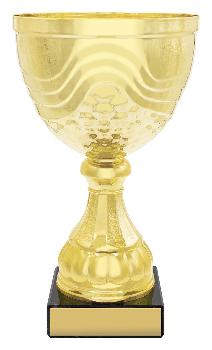 CUP162 Community Cup