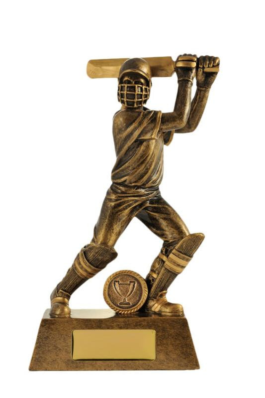 742-1BATD All Action Hero-Batsman 24cm