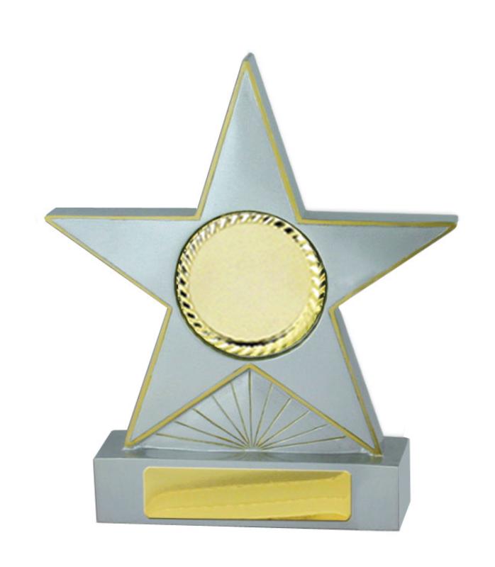 781-2 Star-Silver 21.2cm