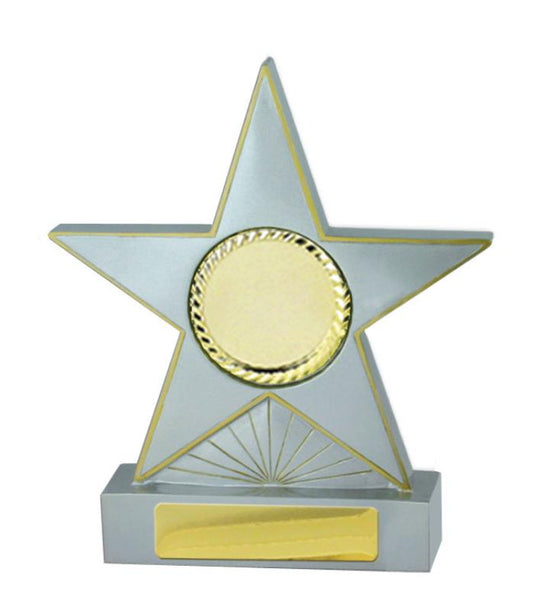 781-2 Star-Silver 21.2cm