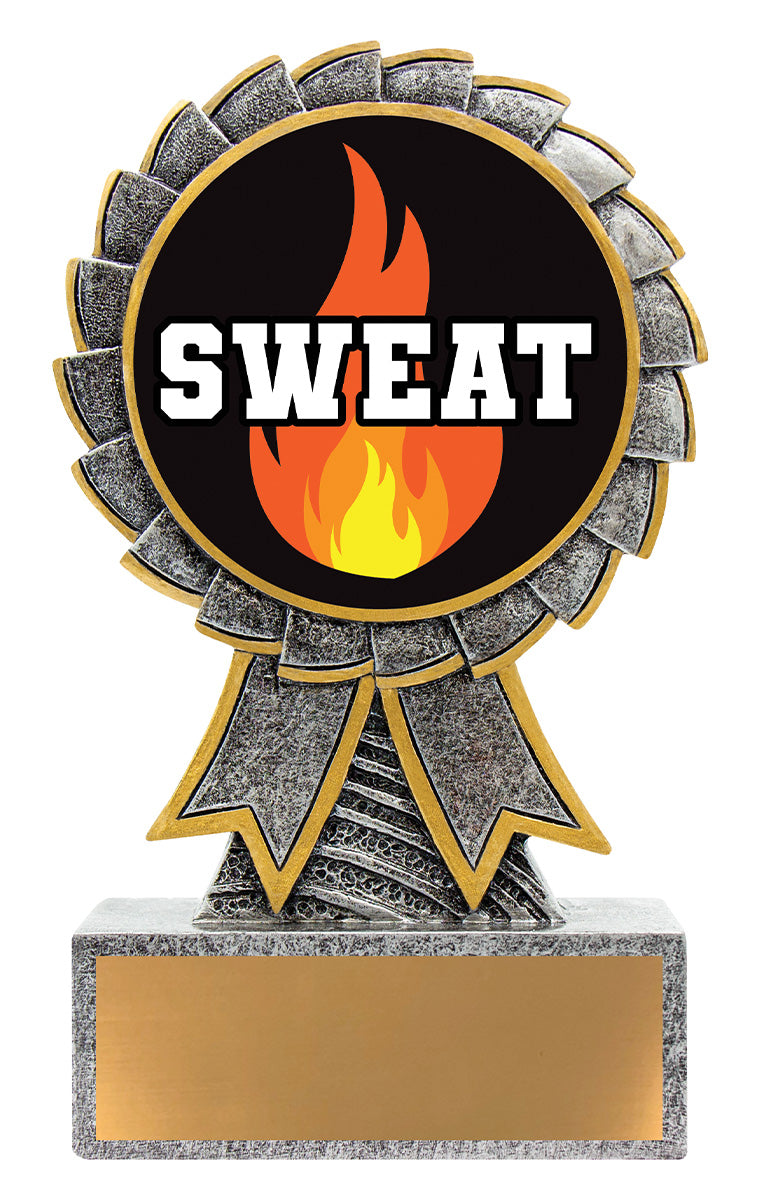 AST10 Aster - Sweat Training