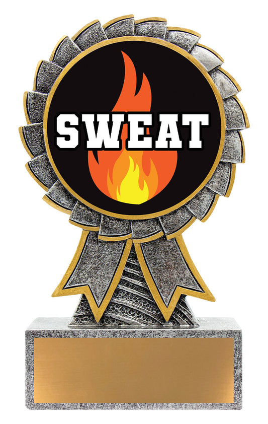 AST10 Aster - Sweat Training