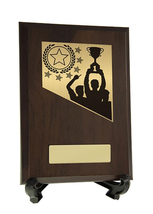 8232CH-PS56A Achievement Theme on Plaque 17.5cm