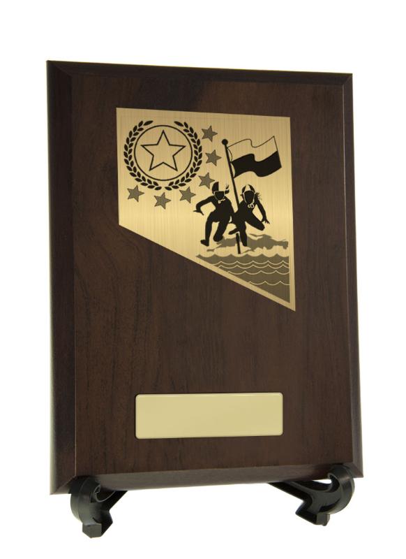 8233CH-PS4A Plaque with Lifesaving Trim 20cm