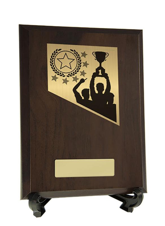 8233CH-PS56A Achievement Theme on Plaque 20cm
