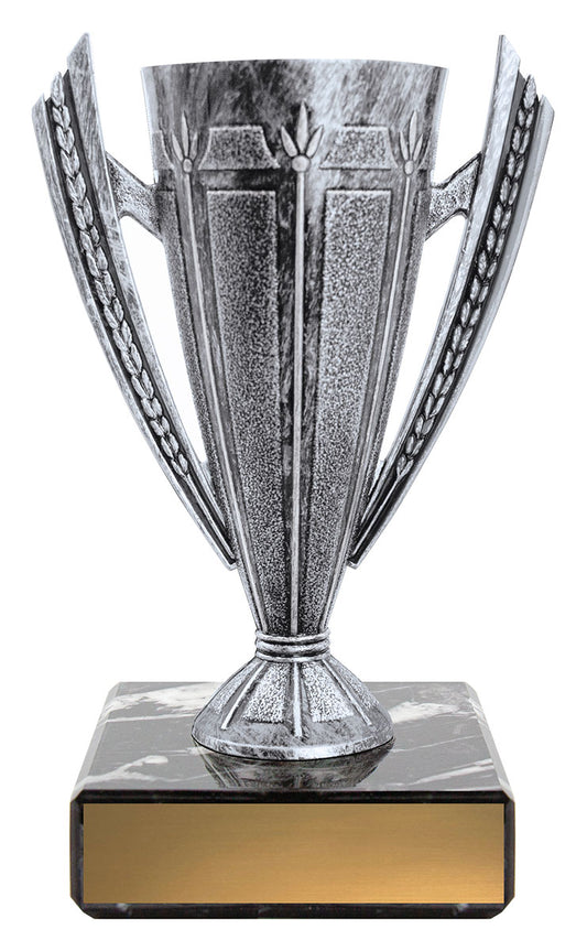 CUP211 Silver Cup