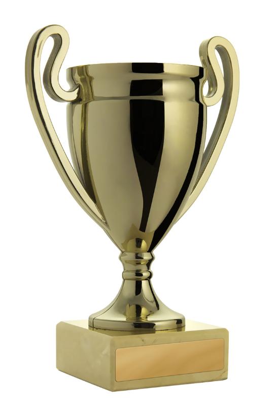 894G-3 Cup 19.5cm