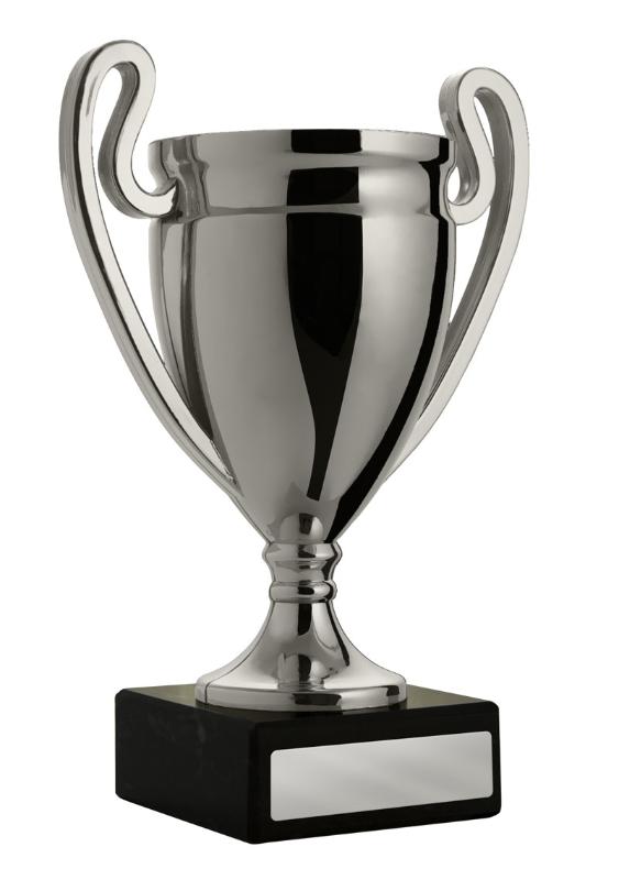 894S-3 Cup 19.5cm