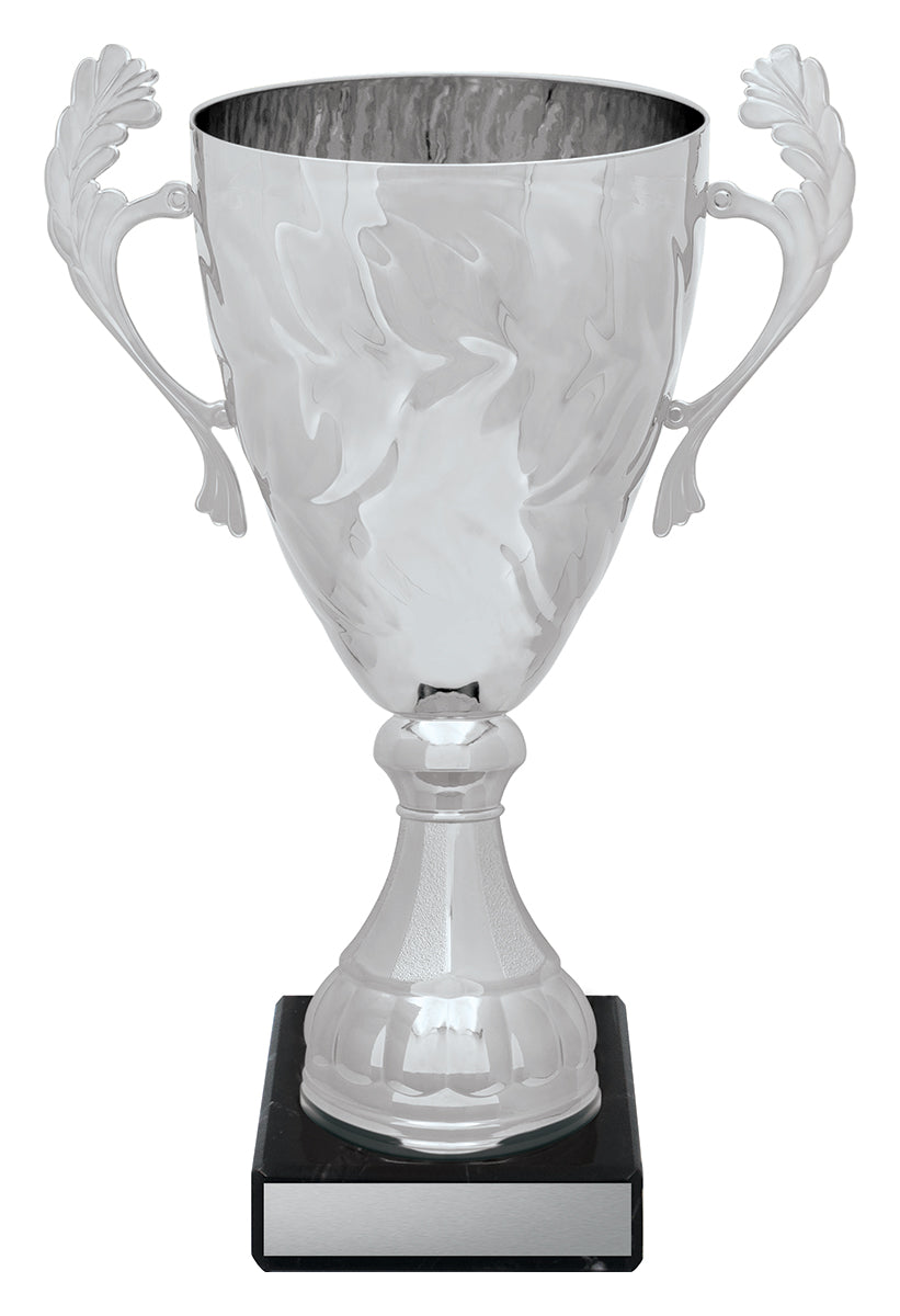 CUP187 Silver Eternal Cups