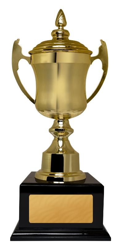 904G-2T Umbria Cup 60cm