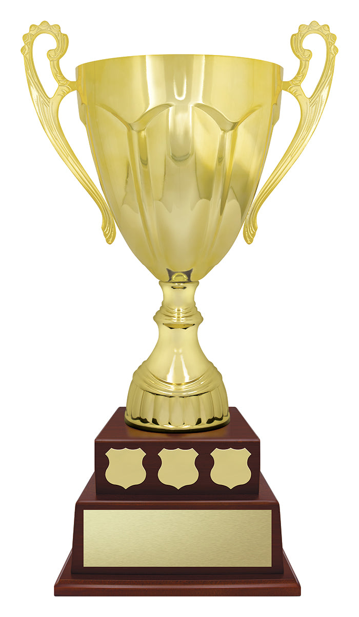N563 Cup Perpetual