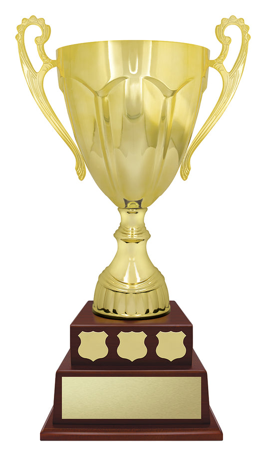 N563 Cup Perpetual