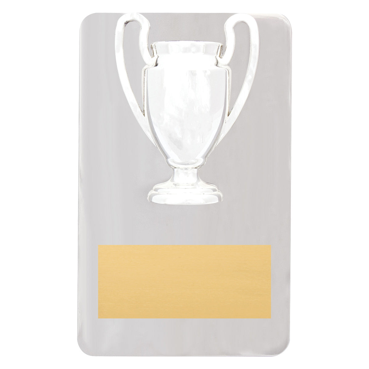 9935 Metal Achievement Plaque
