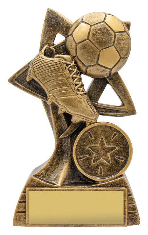 A2304A Football Spinifex 11cm