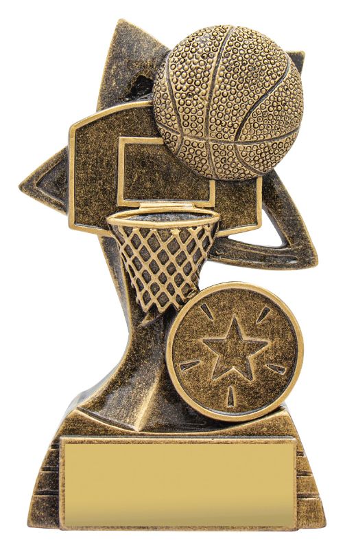 A2307A Basketball Spinifex 11cm