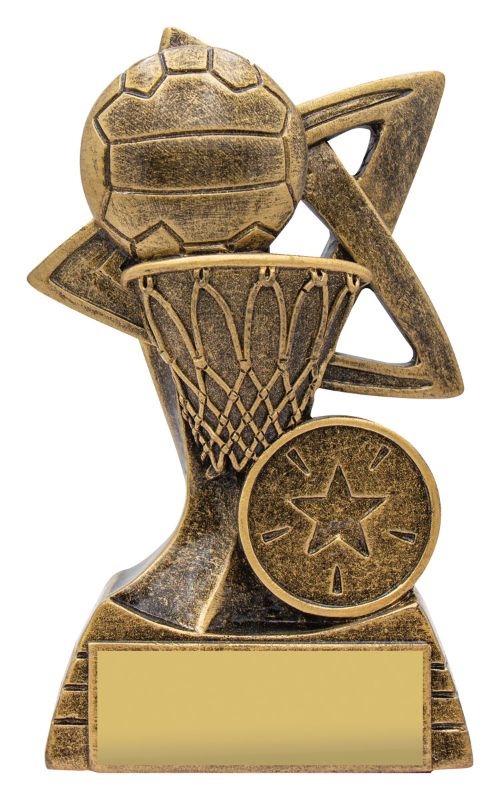 A2391A Netball Spinifex 11cm